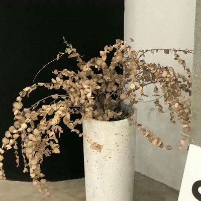 兽设毛发质感表现兽圈社群